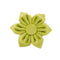 Flower1