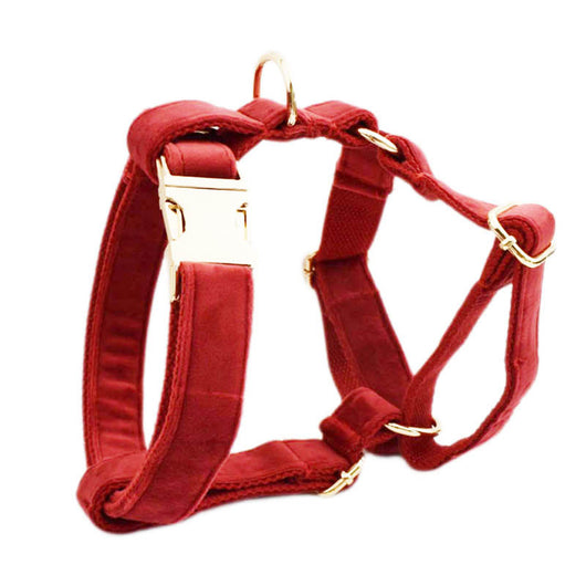 Collar de Tracción Resistente para Perros - Image 10