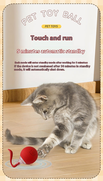 Pelota Interactiva Rodante para Gatos con Movimiento Automático - Image 20
