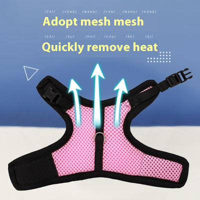 Light gray mesh pet harness with black trim and matching leash on a black and white rabbit. - Image 3