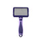 Small Purple