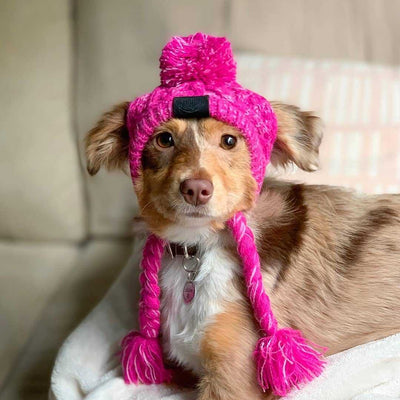 Gorro Tejido para Perros con Bola Peluda - Cálido y Resistente al Viento