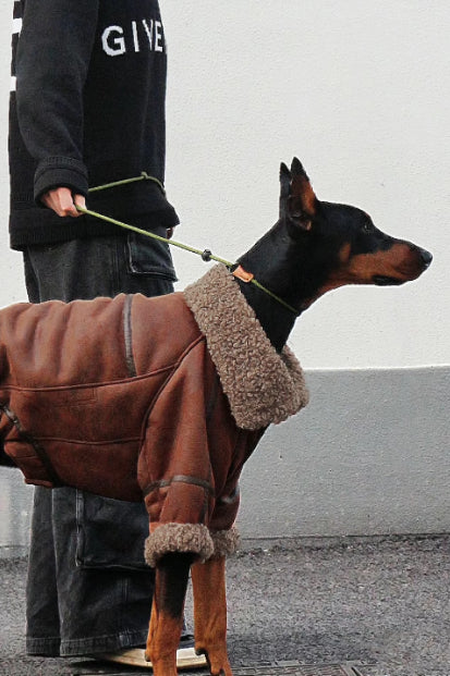 Abrigo de Cuero con Terciopelo Winter Plus para Perros Grandes - Image 2