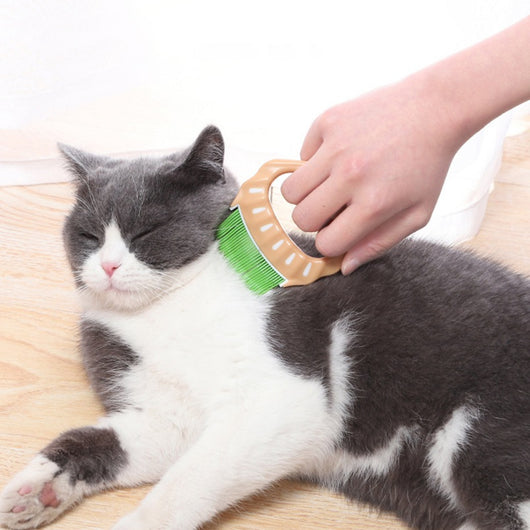 Peine Deslanador para Perros y Gatos - Cepillo Masajeador de Forma Concha para Eliminar Pelo Suelto - Image 5