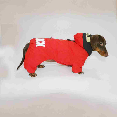 Abrigo Térmico para Mascotas - Ropa de Invierno para Perros y Gatos - Image 17