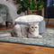 Nido Yurt para Gatos - Refugio Cerrado Cálido para Invierno