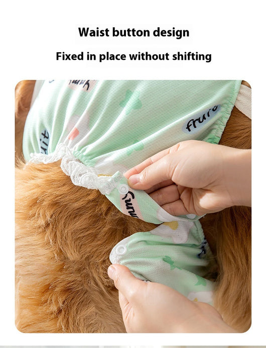 Pantaletas Menstruales Absorbentes Big Dog - Protección Cómoda Todo el Día - Image 13
