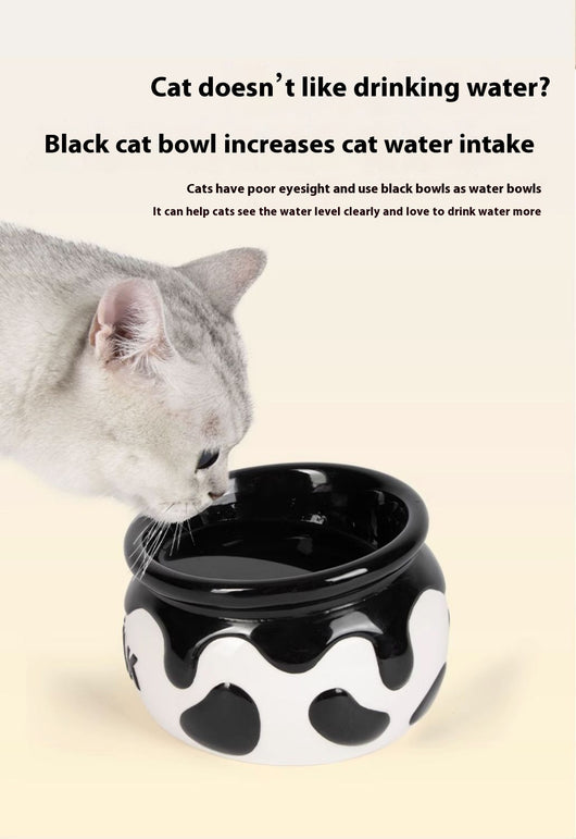 Comedero Elevado para Mascotas con Protección Cervical y Borde Inclinado - Image 14