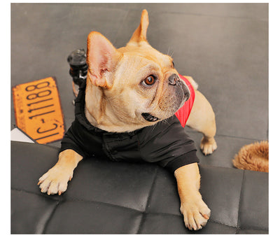 Abrigo Acolchado de Invierno para Perros Pequeños - Image 8