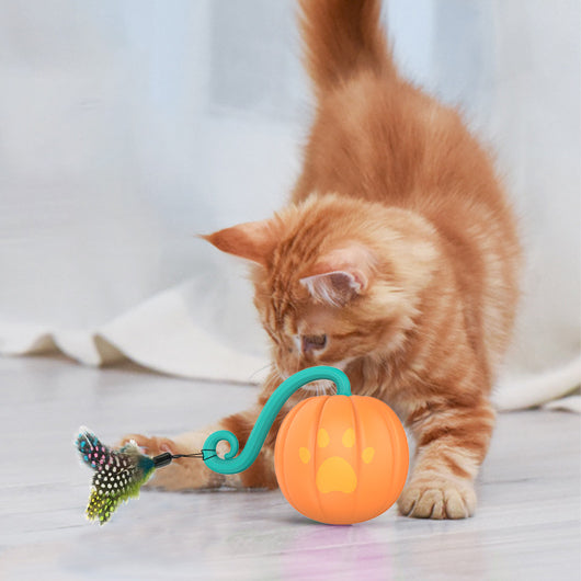 Orange pumpkin-shaped cat toy with a teal vine and paw print details, measuring 61mm. - Image 8