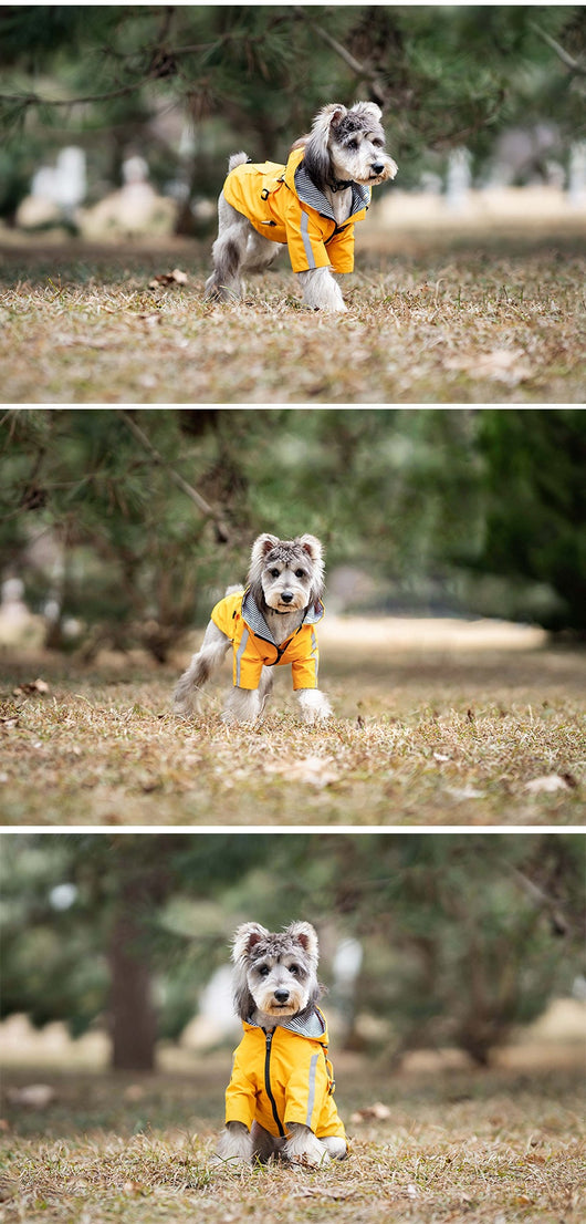 Impermeable para Perros Resistente Todas las Estaciones - Image 12
