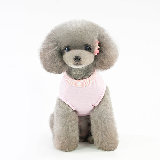 Ropa para Mascotas con Bordado de Árbol de Coco - Image 11