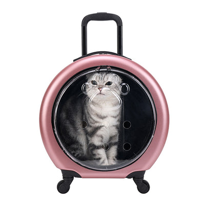 Bolsa Transportadora Transparente Reforzada para Mascotas - Gatos y Perros - Image 5