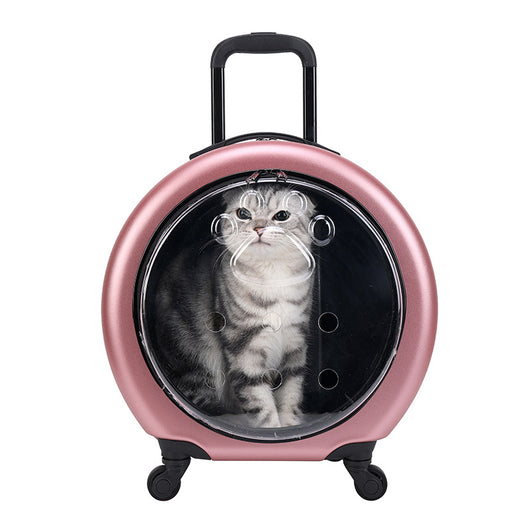 Bolsa Transportadora Transparente Reforzada para Mascotas - Gatos y Perros - Image 5