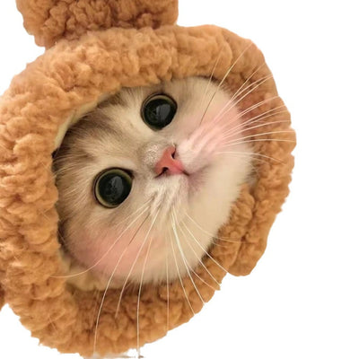 Gorro Felino de Moda: Expresa tu Personalidad y Creatividad - Image 6