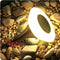 HP 2315 Luz Quente 4 Peças