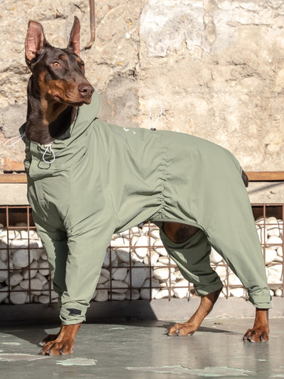 Traje de Montaña Táctico para Perros Shiba Inu Medianos y Grandes - Image 2