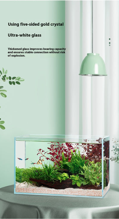 Acuario de Cristal Blanco Premium para Escritorio - Image 9