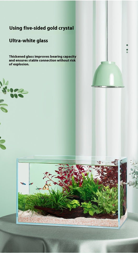 Acuario de Cristal Blanco Premium para Escritorio - Image 9