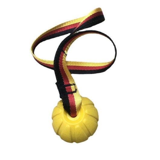 Yellow EVA pet training ball with a black, red, and yellow striped tether, designed for water play. - Image 8