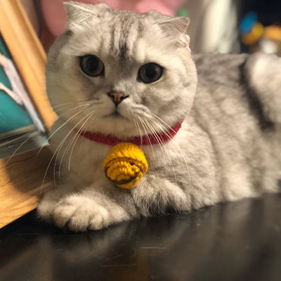 Lindo Collar para Gato Estilo Lana Británica - Image 3