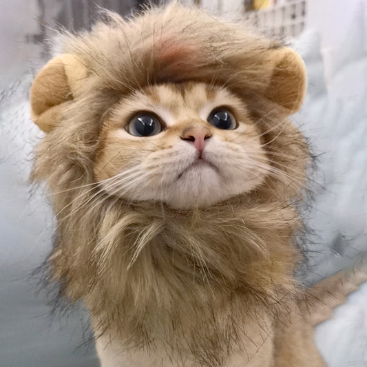 Diadema Divertida para Mascotas - Accesorios de Moda Cómica - Image 2