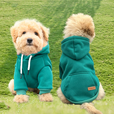 Suéter con Capucha para Perros - Diseño Moderno y Cómodo - Image 11