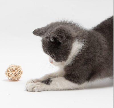 Two natural cat toys: a woven rattan ball and a braided grass ball with light brown feathers. - Image 10