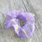 Morado