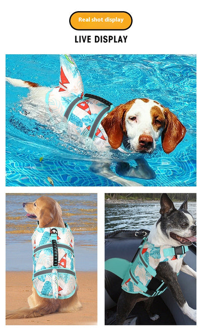 Chaleco Salvavidas para Perros Shark - Ropa de Baño Segura - Image 10