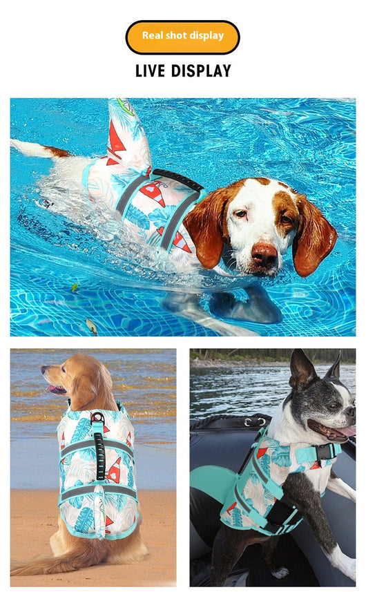 Chaleco Salvavidas para Perros Shark - Ropa de Baño Segura - Image 10