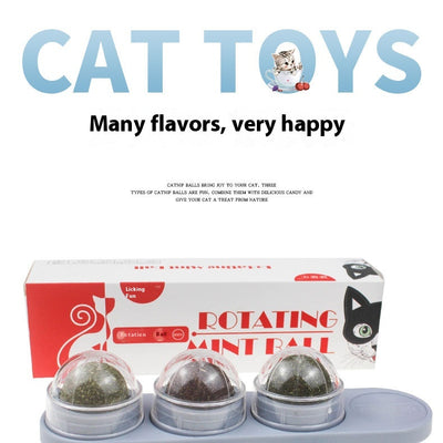 Pelota de Hierba Gatera Interactiva para Gatos - Image 14