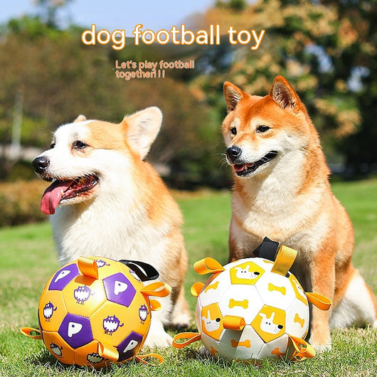Orange and purple pet football toy with cartoon dinosaur-like characters and 'P' letters, featuring fabric loops and a strap. - Image 13