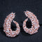 Fashion High-end Atmospheric Leaf Earrings Rose Dorado Blanco zirconium