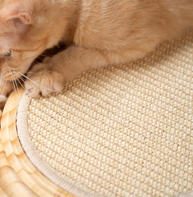 Juguete de Madera Maciza para Gatos Activos - Image 3
