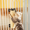 Rascador para Gatos de Sisal Resistente y Duradero