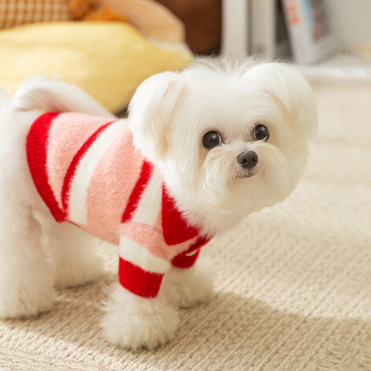 Suéter Polo Térmico para Perros Pequeños - Abrigo Invierno Teddy, Bichón Frisé - Image 40