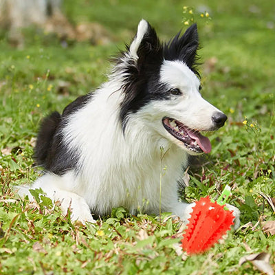 Juguete Interactivo para Dentición de Perros con Diseño de Chile - Image 25