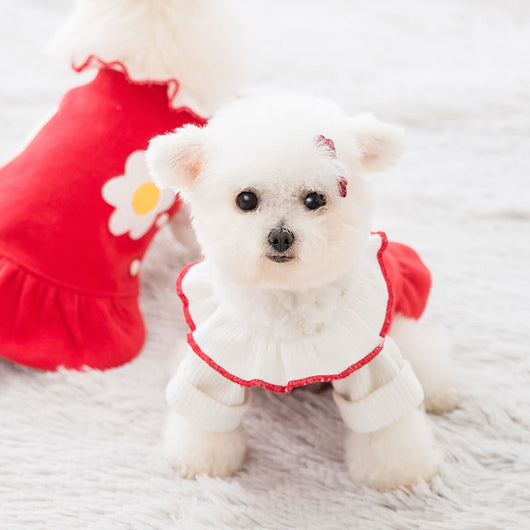 Falda Floral para Mascotas - Image 8