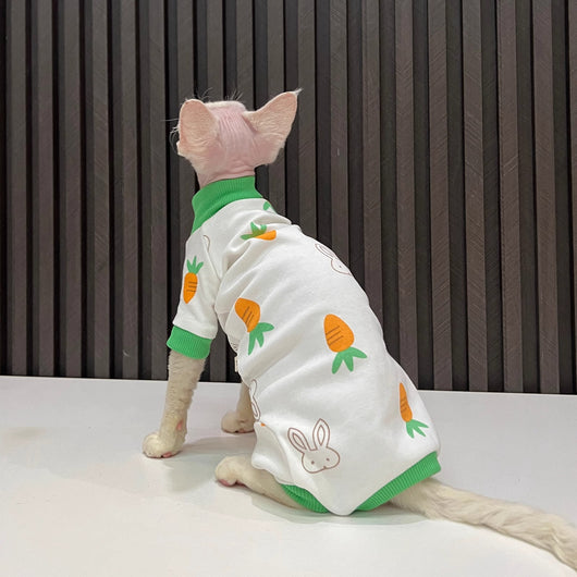 Ropa Térmica para Gatos Sin Pelo - Conjunto Completo Antiestático - Image 2
