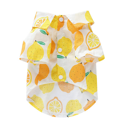 Ropa Casual para Perros con Estilo Frutal - Image 16
