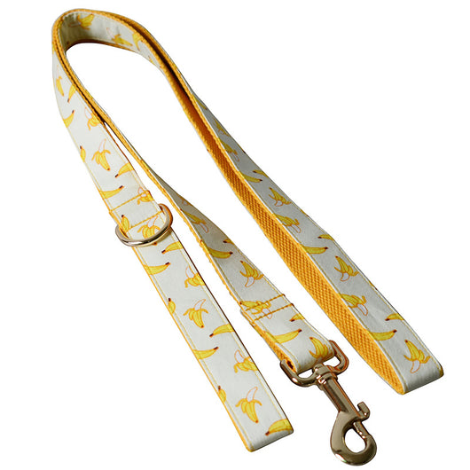 Collar de Tiro con Hebilla de Metal Dorado para Mascotas - Image 4