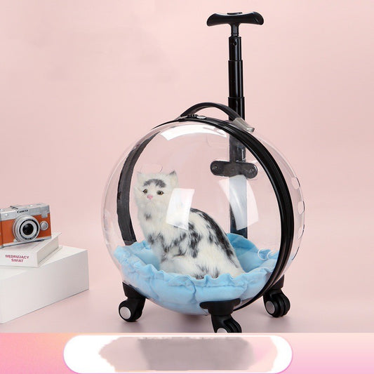 Mochila Transportadora para Gatos - Cápsula Espacial Transparente Portátil