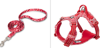 Arnés Pectoral para Perros con Diseño Floral - Tracción Resistente - Image 7