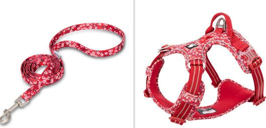 Arnés Pectoral para Perros con Diseño Floral - Tracción Resistente - Image 7
