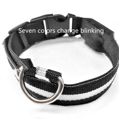 Collar Luminoso Antiextravío para Perros con Placa de Identificación - Image 8