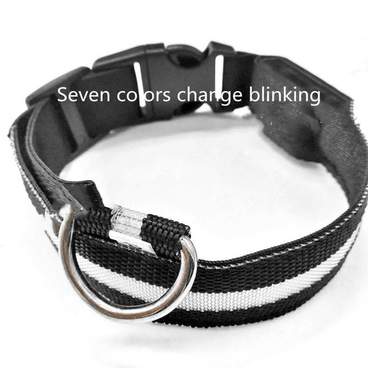 Collar Luminoso Antiextravío para Perros con Placa de Identificación - Image 8