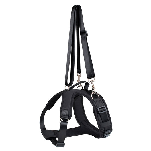 Arnés de Soporte Torácico Dividido para Perros con Movilidad Limitada - Image 6
