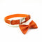 Collar Correa para Perros con Diseño Moño - Accesorios Elegantes para Mascotas