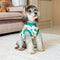 Ropa Quirúrgica Protectora para Mascotas - Anti-lamido Universal
